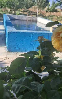 آژانس املاک روزانه ویلا باغ