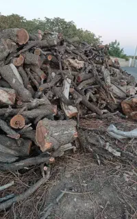 خرید چوب