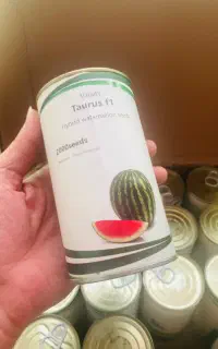 بذر هندوانه Taurus F1 بسته ۲۰۰۰ عددی پلمب