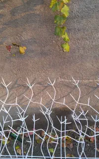 نرده وحفظ شاخ گوزنی