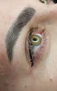 مدل میکروبلیدینگ،خط چشم ،شیدلب