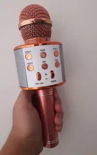 اسپیکر میکروفون