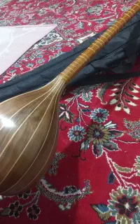 موسیقی
