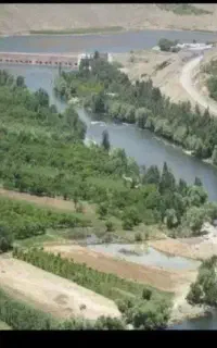 سویئت اجاره ای