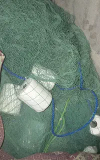 لیح تلالی