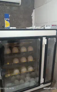دستگاه جوجه کشی (مرغ و شتر مرغ)