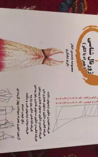 کتاب الگو و برش فنی و حرفه‌ای