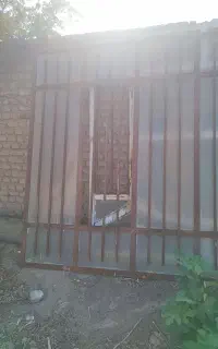 پنجره