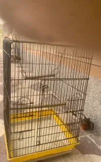 قفس پرنده