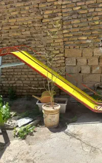 تاب و سرسره