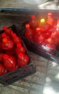 رب خانگی با قیمت مناسب