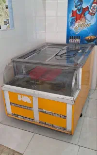 یخچال مرغ فروشی