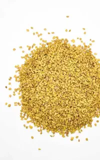 بذر شنبلیله