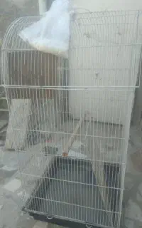 قفس دست دوم