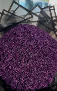 گل رز ربانی