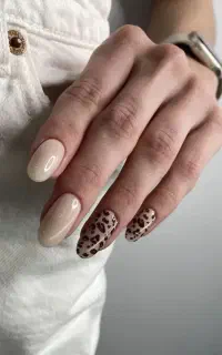 فرصت