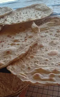 استخدام شاطر