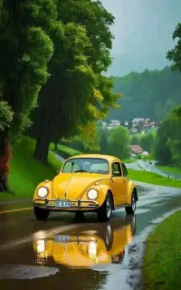 همکار سیمکش خودرو