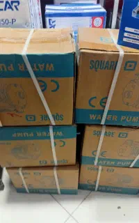 ۱اسب بشقابی اسکواردی
