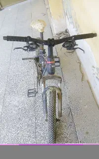 دوچرخه 20