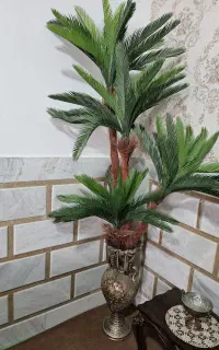 درختچه خارجی باگلدون