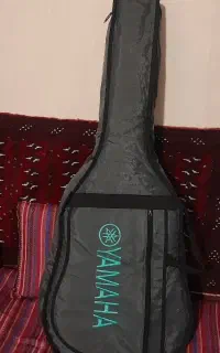 کیف گیتار