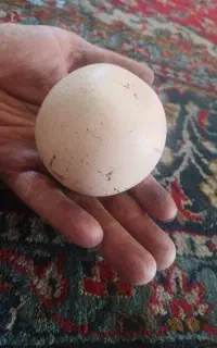 سنگ آسیاب الماس