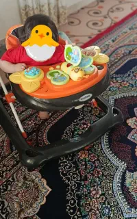 روروئک سالم