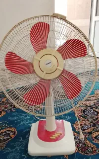 پنکه