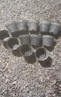 گلدان پلاستیکی فروشی