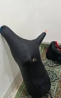 نی انبان