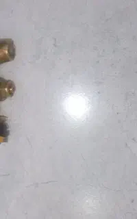 شیر ورشو