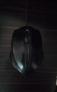 موس و کیبرد