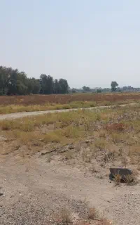 اجاره زمین کشاورزی رودان  آخر خیابان نماز