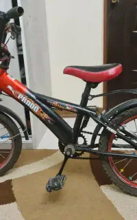 دوچرخه