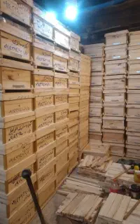 کندوسازی کندو۱۰قاب اصفهان لانگستروت