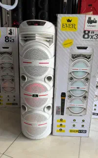 اسپیکر EVER1133(فروشگاه پلاس)