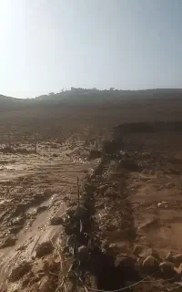 یونجه درجه یک