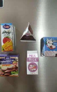 مگنت مینیاتوری(آهنربا مخفی)