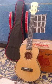 گیتار اوکو له له پیکاپدار