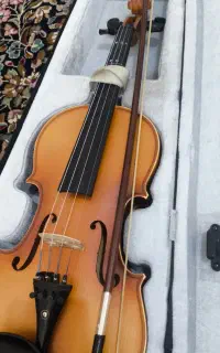 ویولن نو
