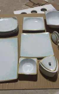 سرویس پذیرای چینی پردیس