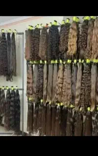 صادر کننده مو طبیعی خریدار اصلی مو