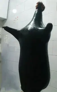 فروش هیزه نگهدارنده روغن حیوانی