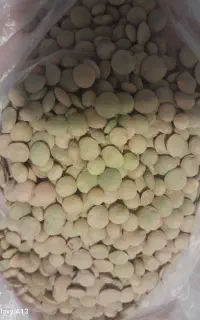 عدس تازه و خوشپخت