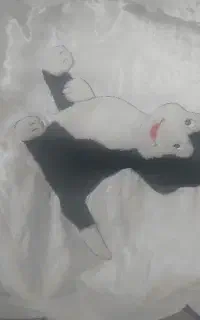 زیر انداز و پتو نوزاد