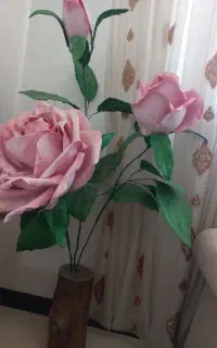 گل کنار سالنی
