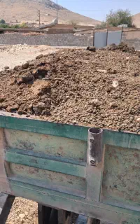 کود گوسفندی تمیز