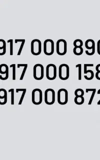 09170008727