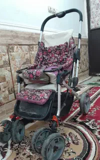 کالسکه تمیز مارک دلیجان